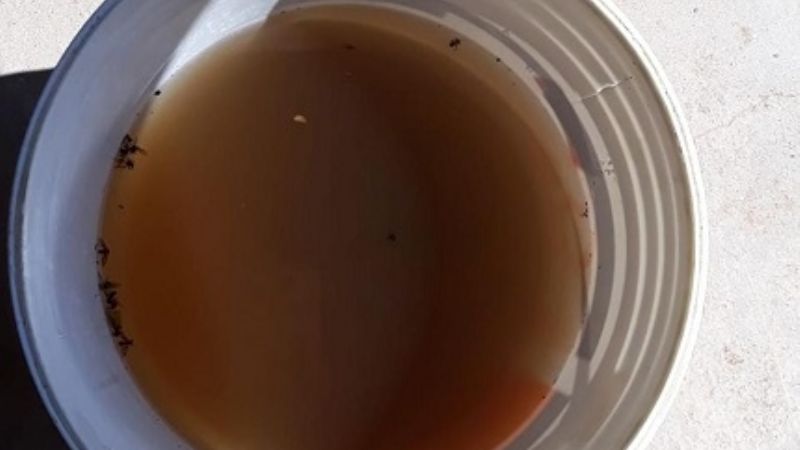 En la Villa de Ipizca el agua es intomable