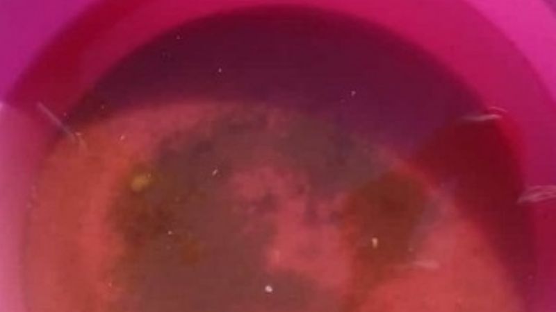 En la Villa de Ipizca el agua es intomable