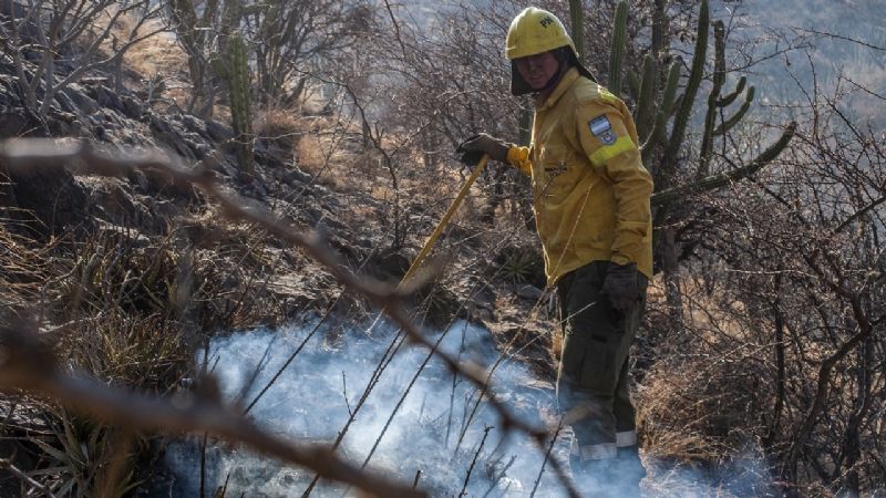 Incendio arrasó con cañaverales y brigadistas lograron combatirlo