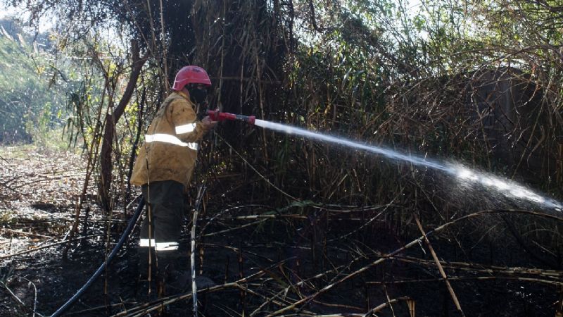 Incendio arrasó con cañaverales y brigadistas lograron combatirlo
