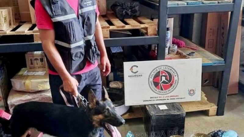 Secuestran droga en Santa María y Capital: en total más de 500 gr. de marihuana