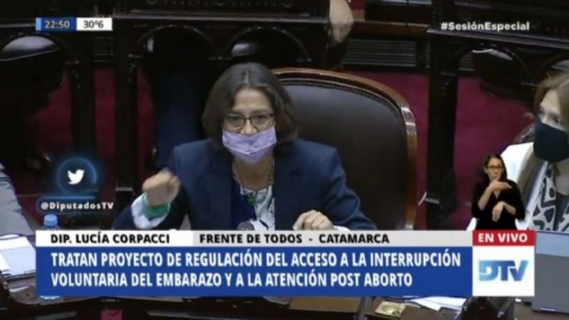 Aborto legal: los votos de los diputados catamarqueños