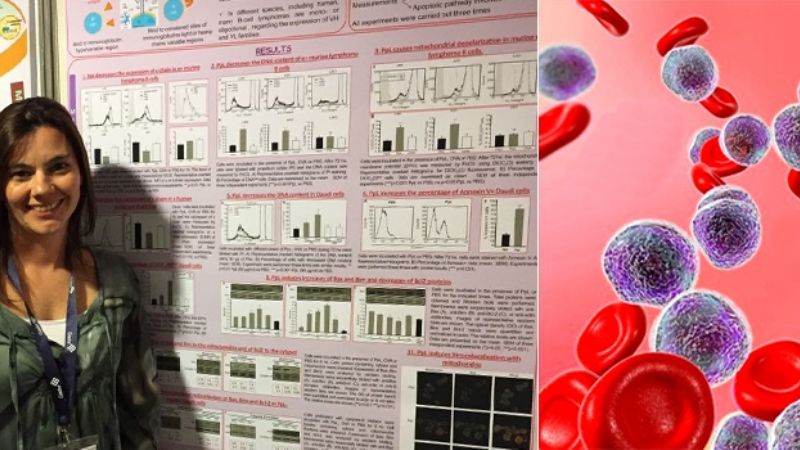 Descubren un tratamiento con baja toxicidad para tratar la leucemia
