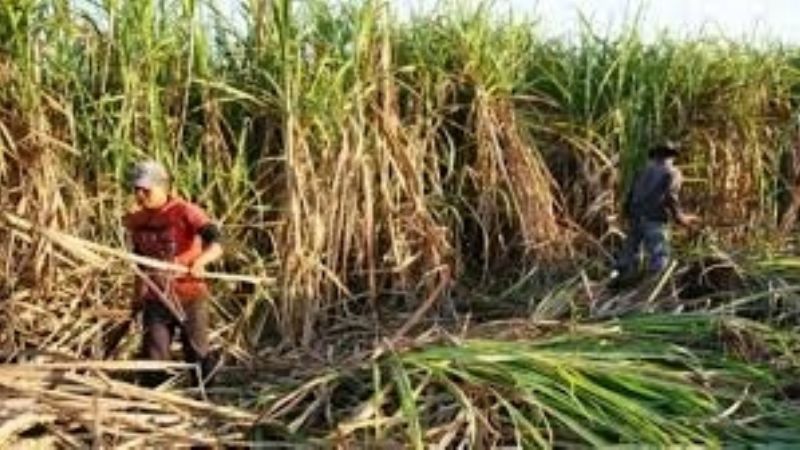 Acuerdo por los Planes Interzafra en Tucumán