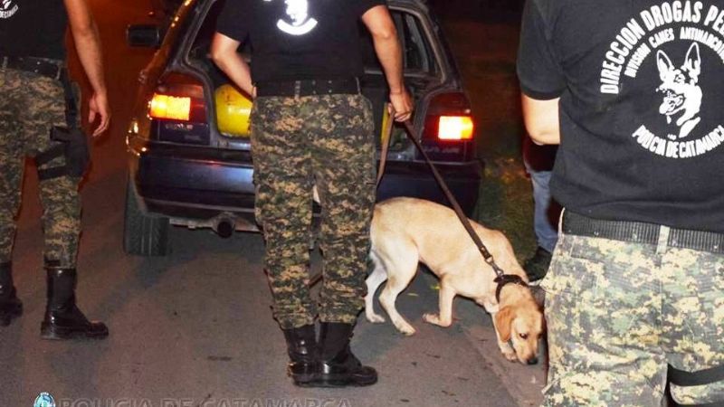 Madrugada indisciplinada: 13 vehículos secuestrados y 22 arrestados