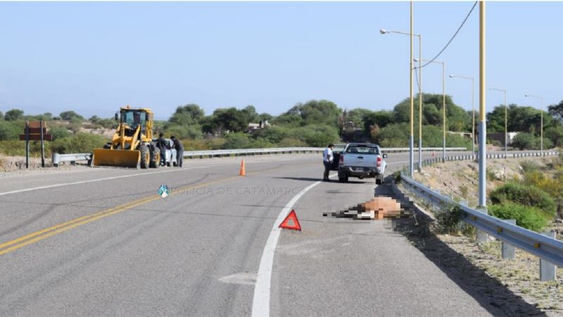 Camioneta impactó contra un caballo en la ruta 40