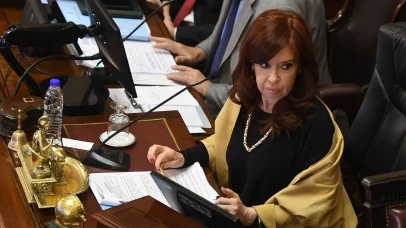 Aborto: buscan dictamen esta semana en el Senado