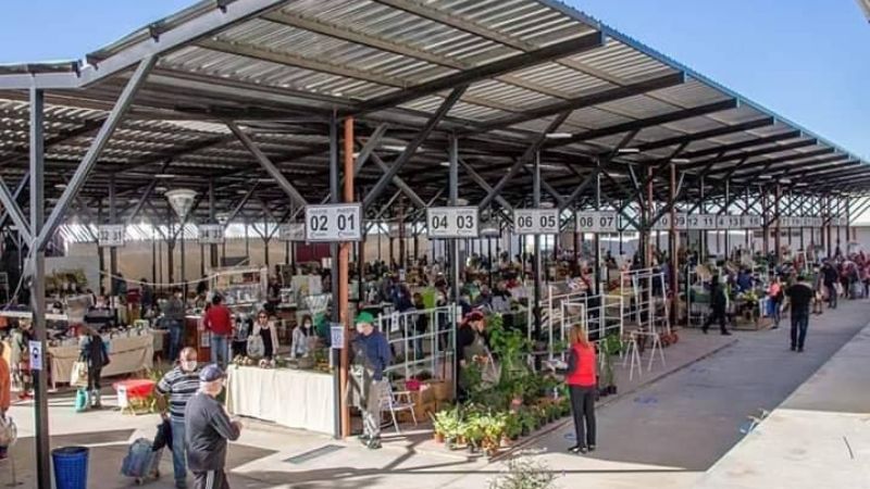 Llega la Expo Navideña: regalos para estas fiestas