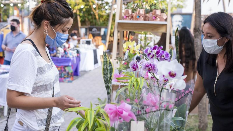 Nueva edición de la Feria de Diseño en la Casa de la Cultura