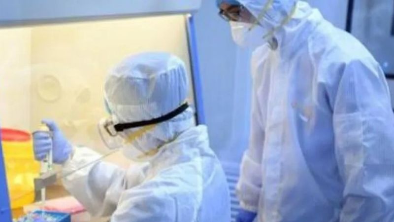 Científicos de la OMS viajan a China para averiguar el origen de la pesadilla