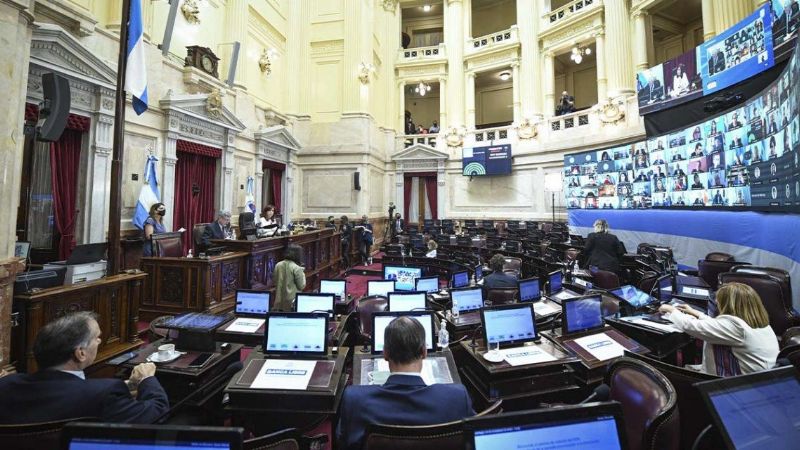 El Senado buscará emitir dictamen al proyecto de legalización del aborto