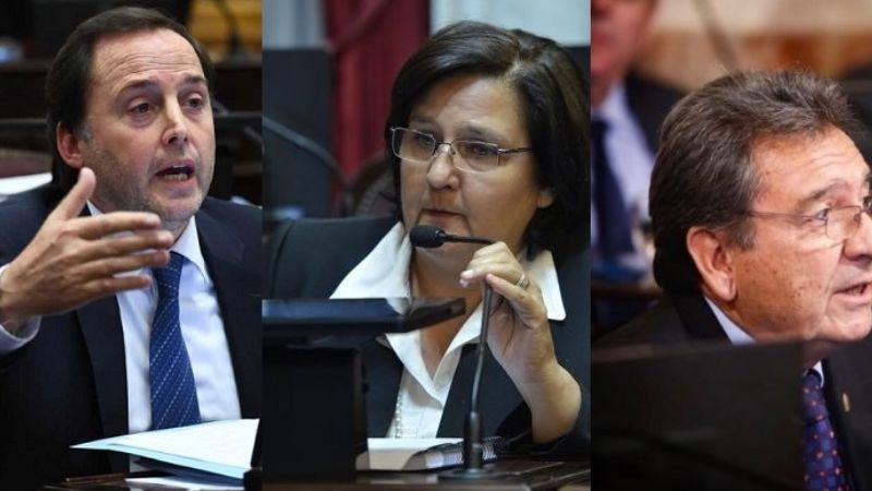 Cómo votarían los senadores el proyecto de aborto legal