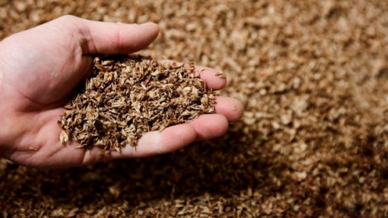 Un proyecto que transforma el residuo de la producción cervecera en energía