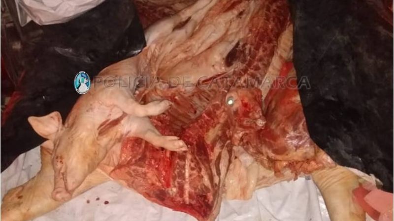 Decomisan más de 400 kilos de carne en un puesto caminero