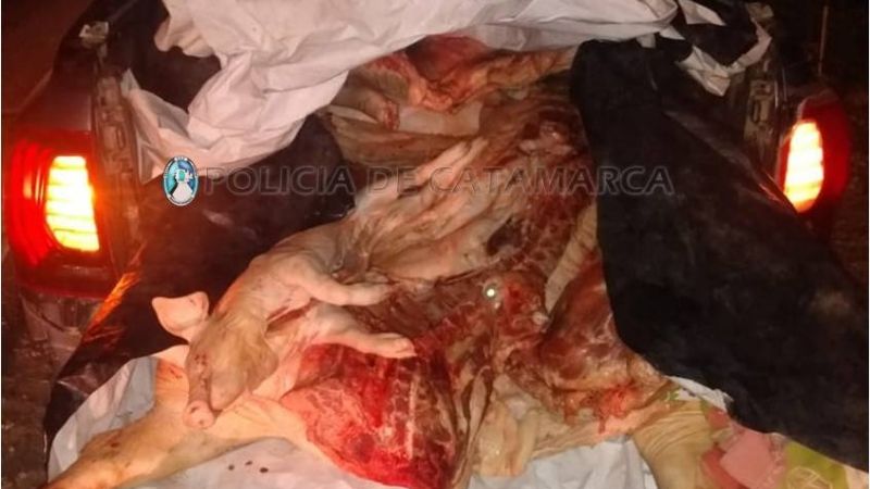 Decomisan más de 400 kilos de carne en un puesto caminero