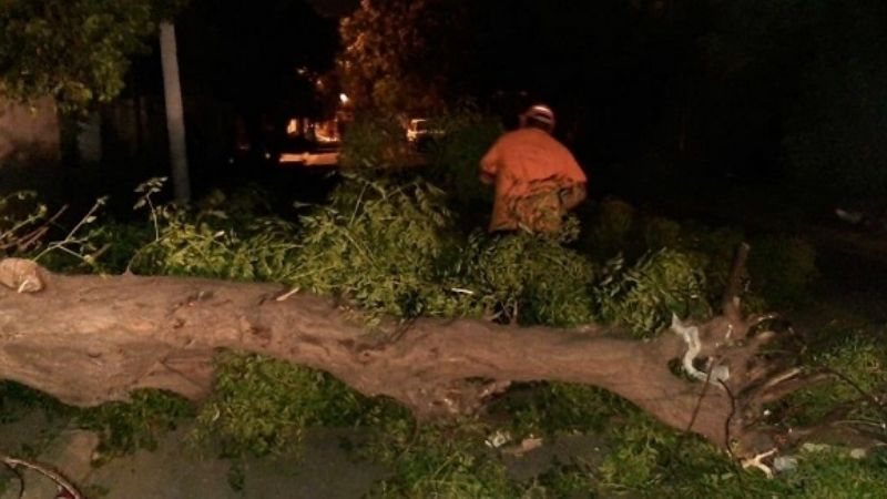 El viento provocó caída de árboles, cortes de cables y problemas con la energía