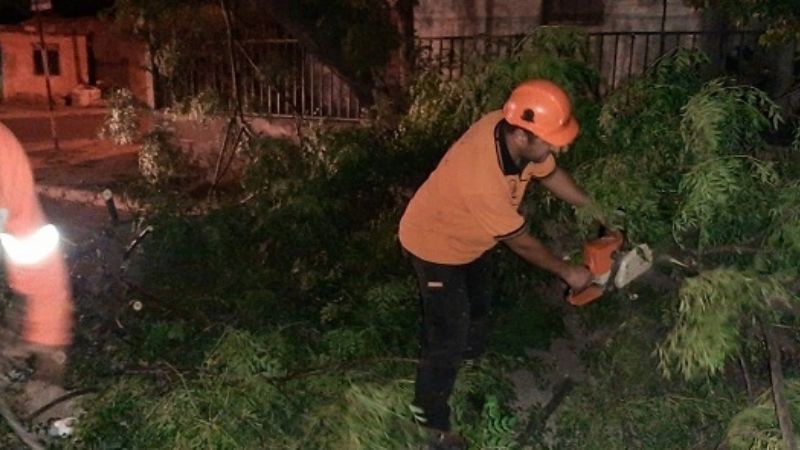 El viento provocó caída de árboles, cortes de cables y problemas con la energía