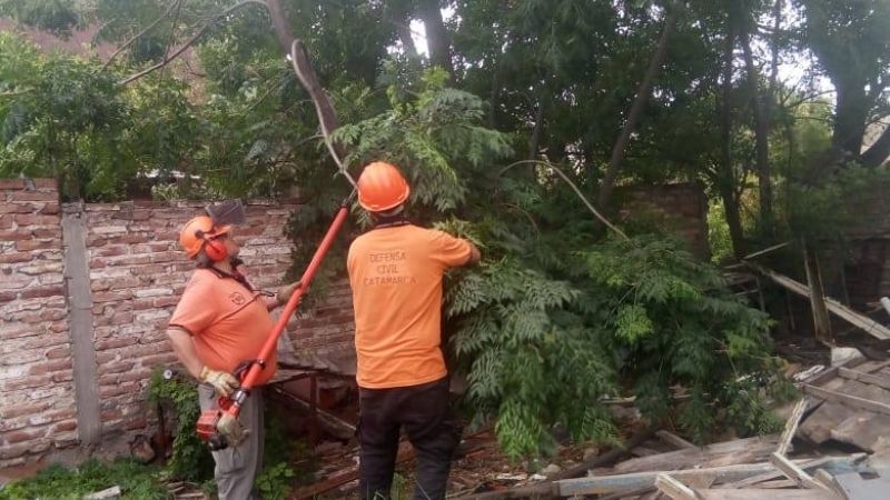 Las fuertes ráfagas derribaron un árbol
