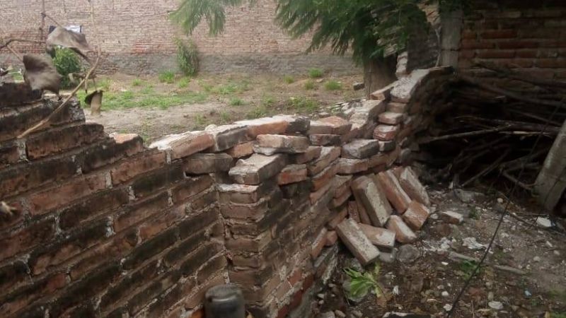 Las fuertes ráfagas derribaron un árbol