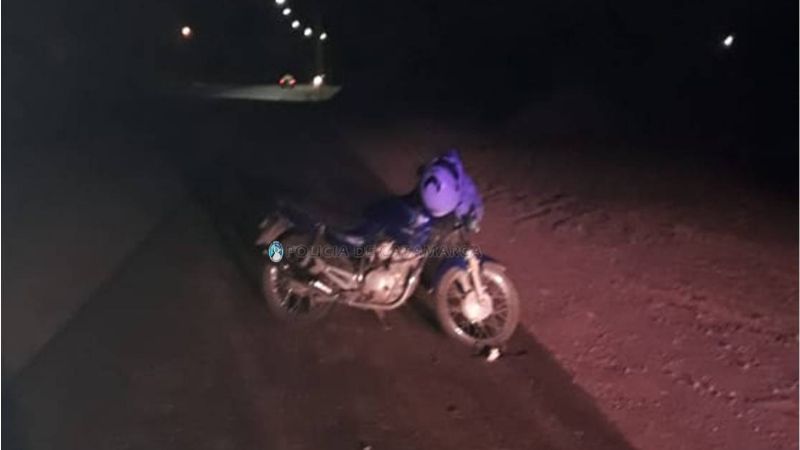 Motociclista embistió a un perro y terminó lesionado