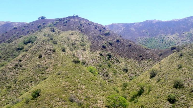 Luchan contra un incendio forestal en Los Ángeles