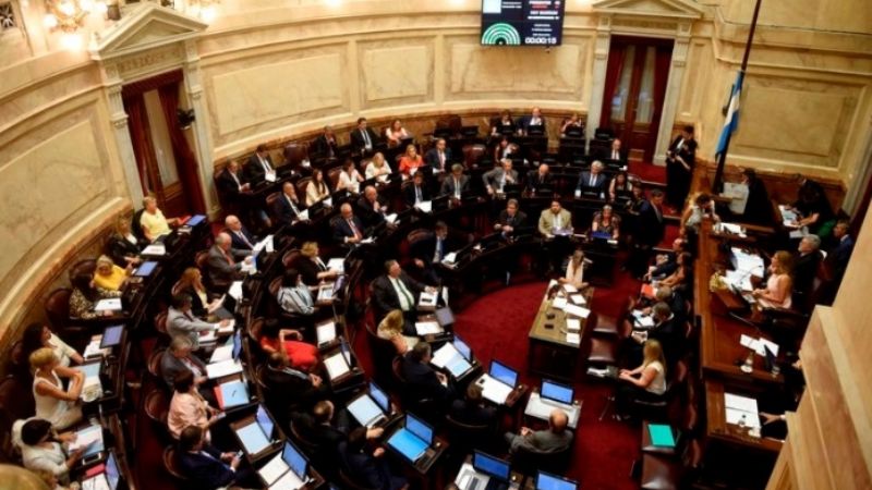 El Senado debatirá el proyecto de legalización del aborto el martes 29