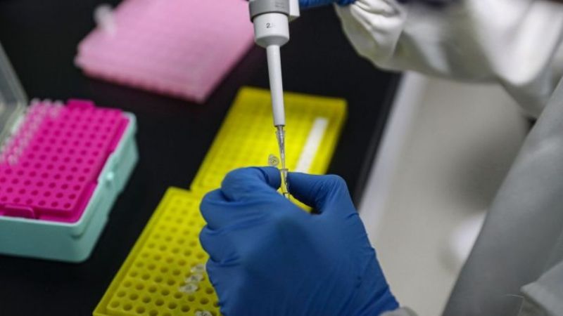 La nueva cepa del coronavirus llegó a Alemania