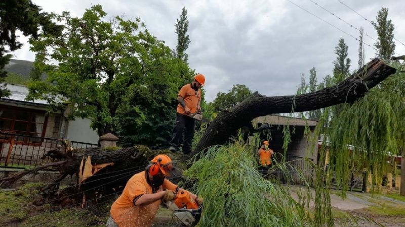 Trabajan en El Rodeo tras el intenso temporal