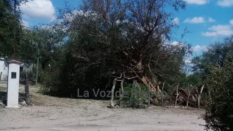 Fuerte viento, lluvia, árboles caídos y voladura de techos en Recreo