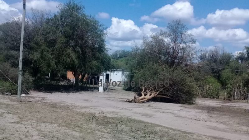 Fuerte viento, lluvia, árboles caídos y voladura de techos en Recreo