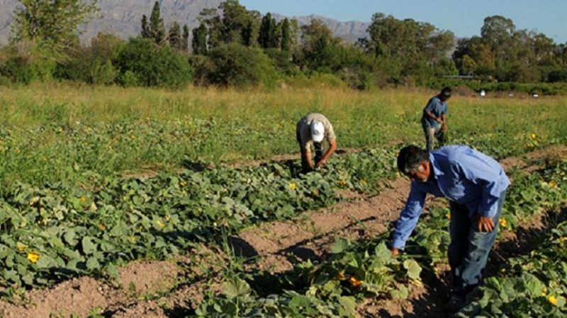 Oficializan bono de fin de año para los trabajadores rurales
