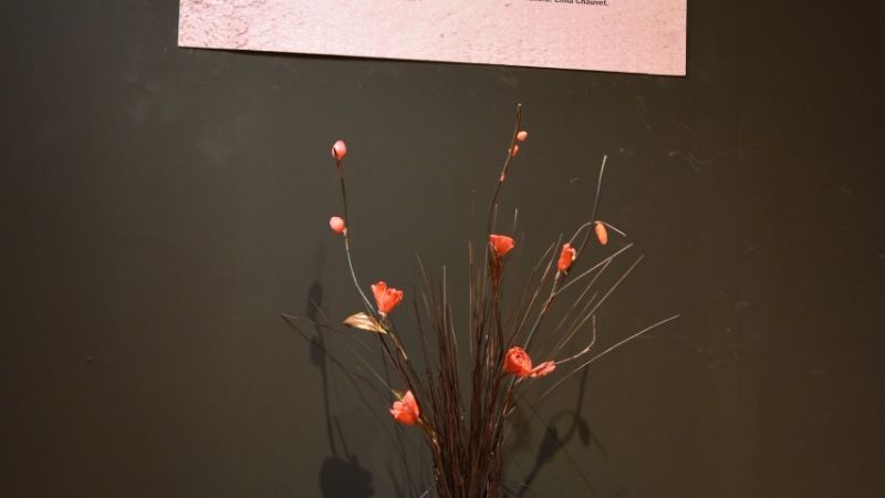 La Capital le dice “no” a la violencia de género