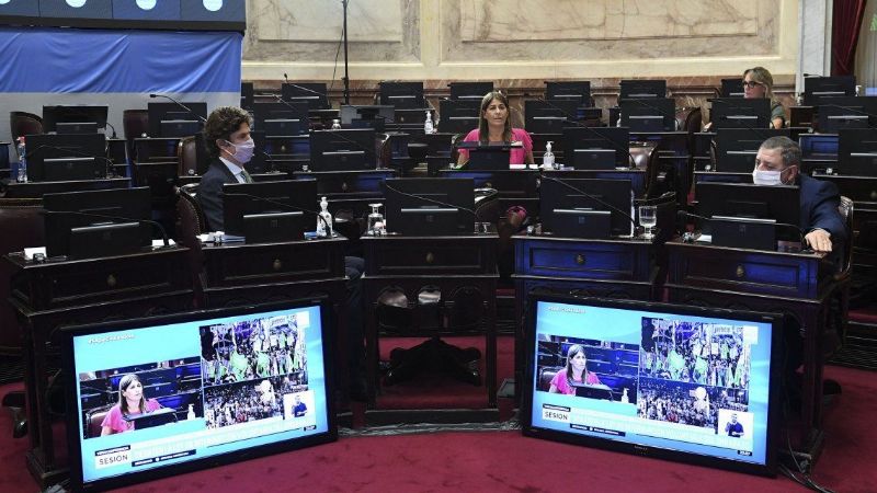Sólo tres senadores modificaron su voto respecto a 2018