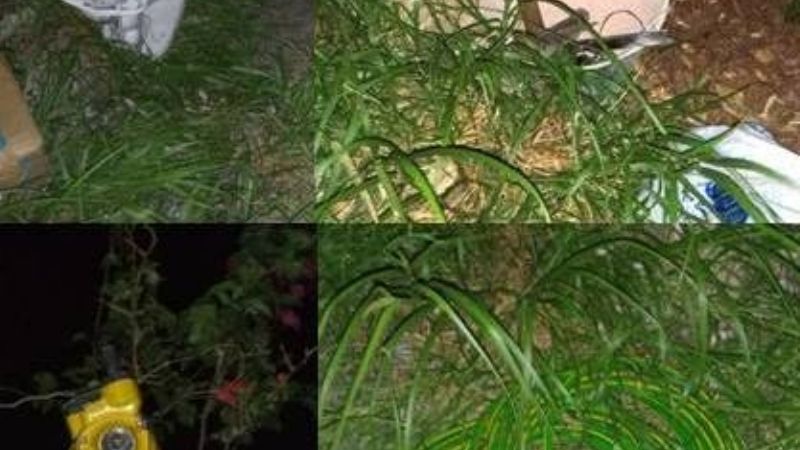 Se llevaban todo de una obra, pero los policías los sorprendieron