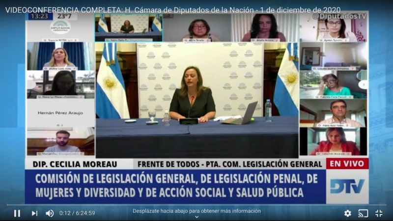 Diputados avanzará con la legalización del aborto tras las reuniones informativas