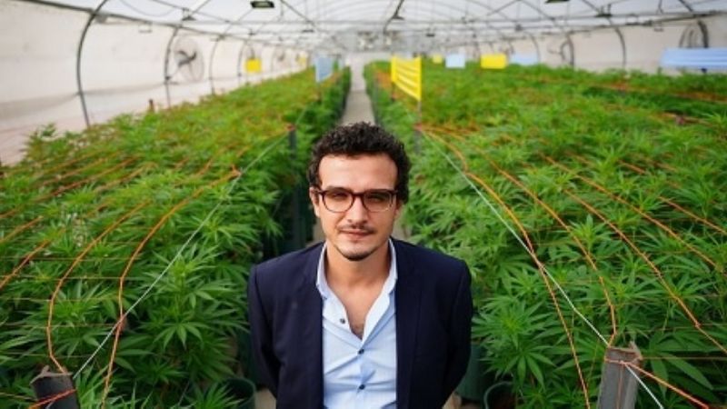 Jujuy presentó el primer producto medicinal de cannabis hecho en Argentina
