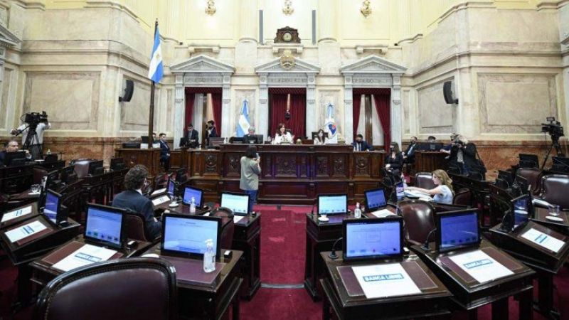 El Senado convirtió en ley el aporte solidario