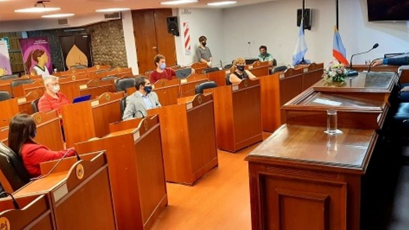 Cipolletti explicó en Diputados la Ley Impositiva 2021
