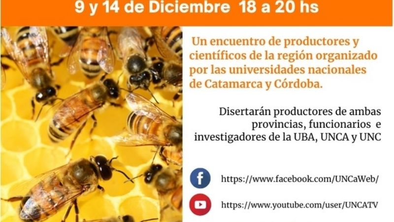 1° Encuentro regional de producción e investigación apícola