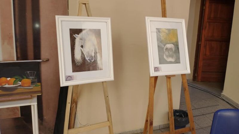 Sorteo de fin de año: Bases y condiciones Sorteo Redes