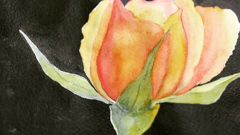 Sorteo de fin de año: Bases y condiciones Sorteo Redes