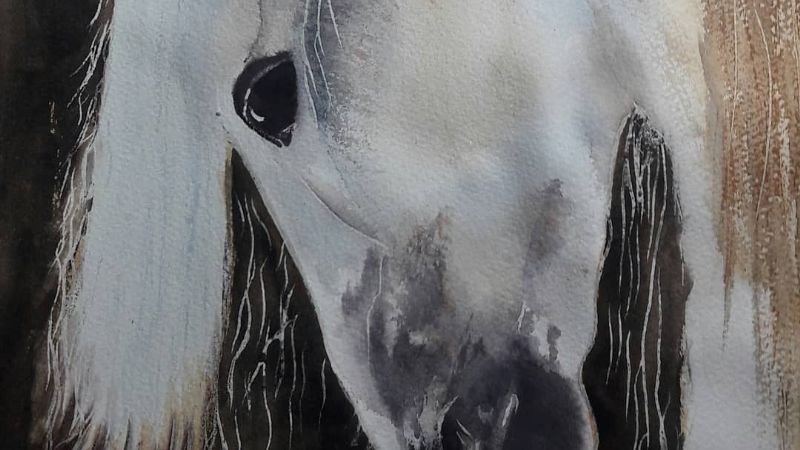 Sorteo de fin de año: Bases y condiciones Sorteo Redes