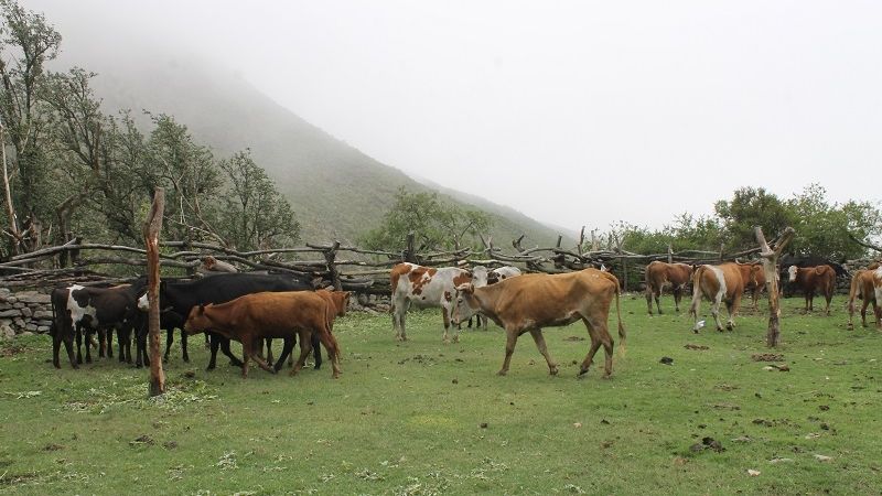 Cumbre en el “Crestón”, con el plus de una “corrida”
