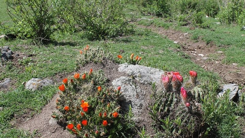 Cumbre en el “Crestón”, con el plus de una “corrida”
