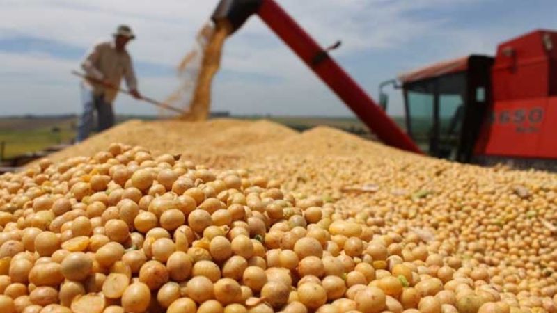 Subirían las retenciones a la soja y bajarían los productos de economías regionales