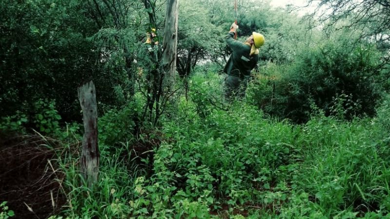 Intensas tareas para restablecer el servicio de energía en Rincón