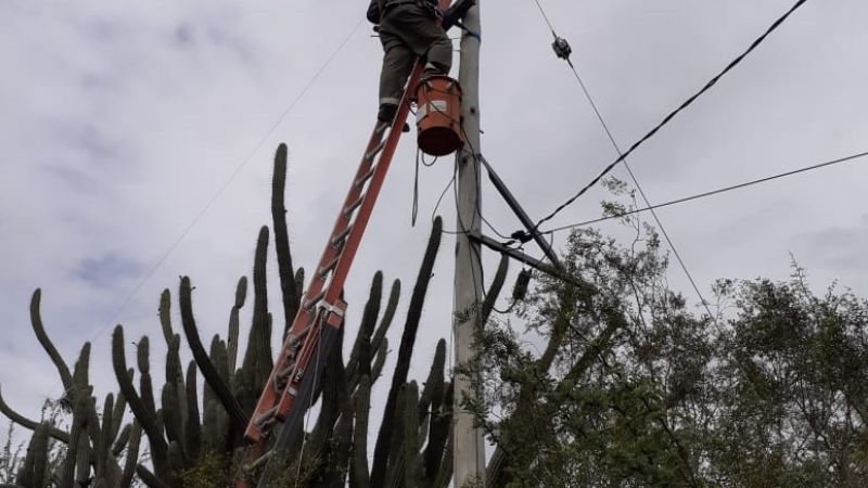 Intensas tareas para restablecer el servicio de energía en Rincón
