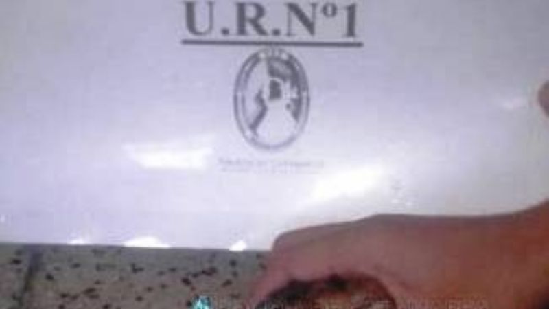 Secuestran un halcón en una escuela de la Capital