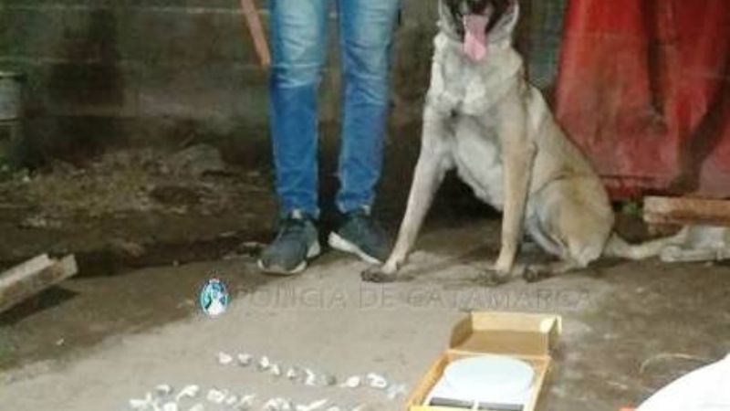 Secuestran más de 13 kilos de marihuana en Valle Chico: hay dos detenidos