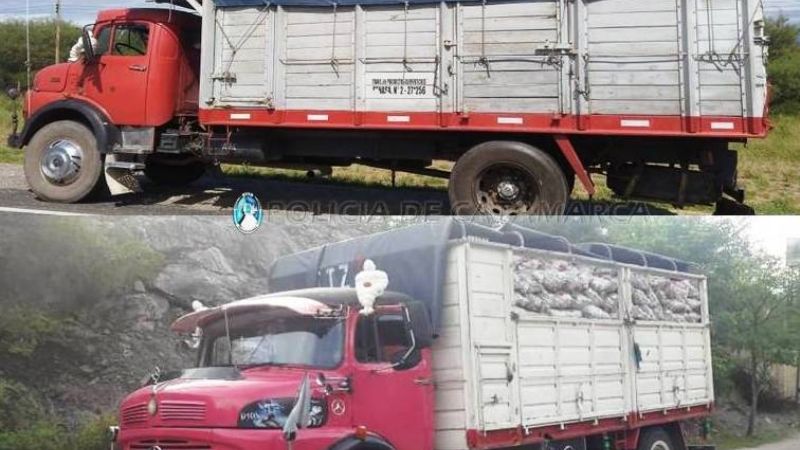 Operativo “Sol y Montaña 2020”: Secuestran 200 vehículos